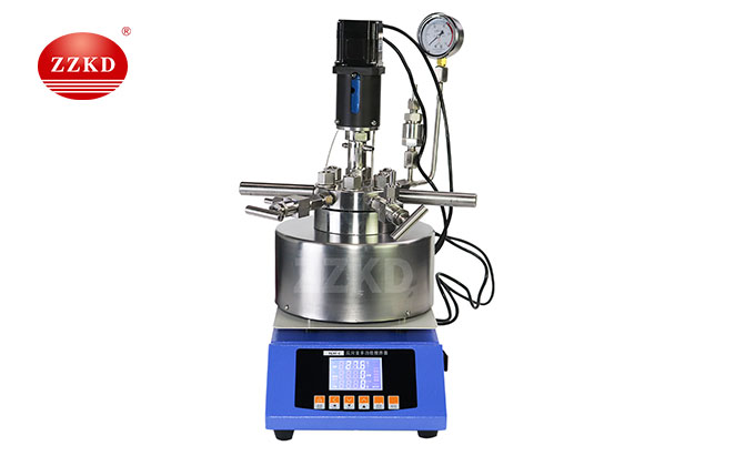 Lab Scale High Pressure Reactor-2