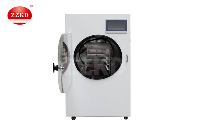 Small Freeze Dryer-1