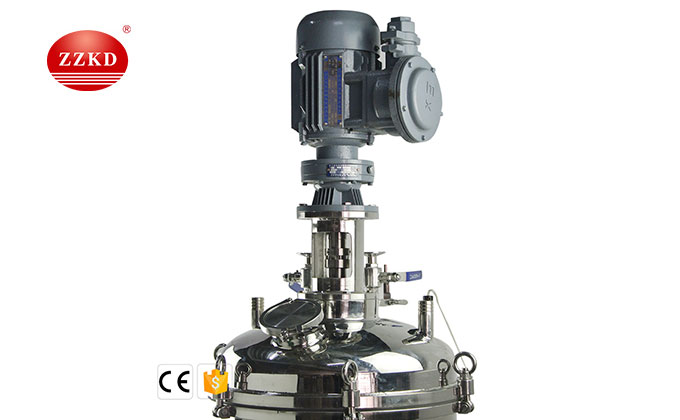 Stainless Steel Reactor-2