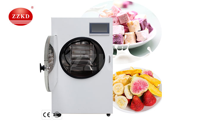 Small Freeze Dryer-2